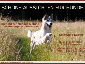 Schöne Aussichten für Hunde