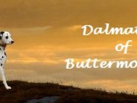 of Buttermountain