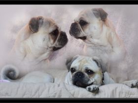 from Home of little Heartbreakers