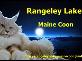 Rangeley Lakes