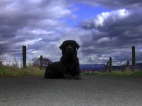 BLADE VON DER NECKARBURG