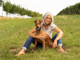 DogsTeam by Vera Schmitz