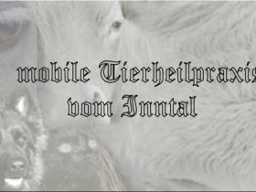 mobile Tierheilpraxis vom Inntal