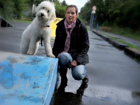 Hundeschule Best Friend Hannover/Isernhagen