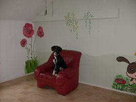 Tierzentrum Rudersdorf