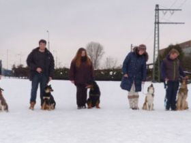 Hundeverein PSSV Neuaubing Germering e.V.