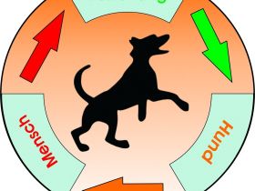 Hund-Beziehung-Mensch