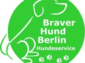 Braver Hund Berlin