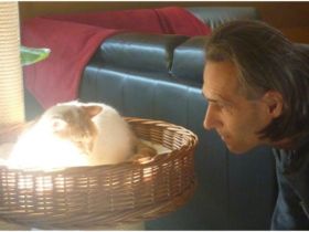 Tierheilung und Tierkommunikation