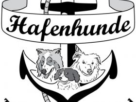 Hafenhunde Training für Mensch und Hund