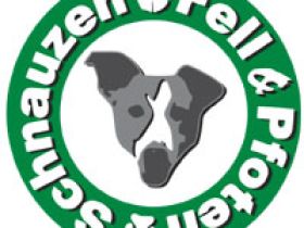 Schnauzen Fell und Pfoten -Mobile Tierheilpraxis für Bochum, Hattingen, Essen und Umgebung