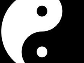 Tierheilpraxis Steinnagel