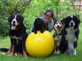 Pension, Training und Physiotherapie für Hunde