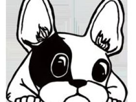 mobile Tierheilpraxis Heike Wieland