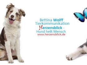 Tierkommunikation www.herzensblick.de