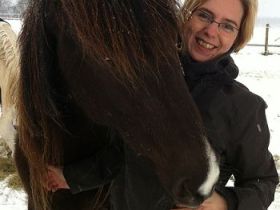 Natural Horse Healing - Tierheilpraxis und Tierpyhsiotherapie Sandra Schmidt