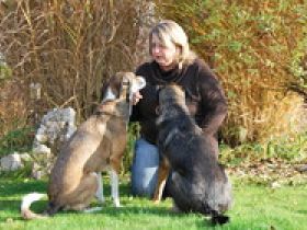 Hundeschule Sonja Stangl