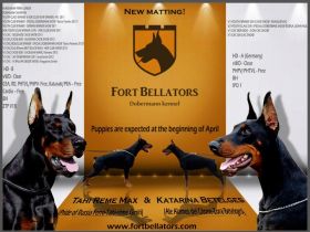 Fort Bellators