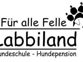 Hundeschule Labbiland