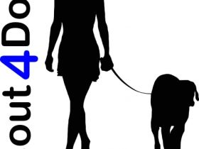 Scout4Dogs - Die mobile Hundeschule