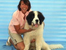 mobile Praxis für klassische Tierhomöopathie