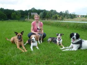 Hundetraining Tierärztin Simone Drechsler