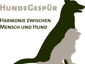 HundeGespür - Harmonie zwischen Mensch und Hund