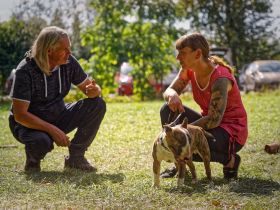 Stadtwolf-Hundetraining Mario Jessat