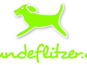 Hundeflitzer Tierphysiotherapie Iris Nolte