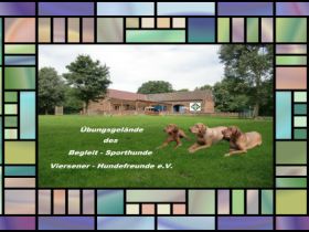 Begleit-Sporthunde-Viersener-Hundefreunde.e.V.
