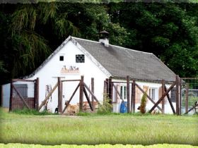 Hundetagesstätte Freiberg