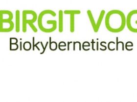 Biokybernetische Praxis