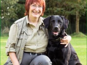 Hundeschule Amperland - im LK FFB, München, Landsb