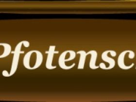 Hundeschule Pfotenranch Sellmecke