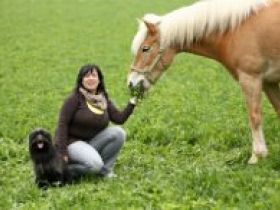 Tierphysiotherapie Peggy Meyer