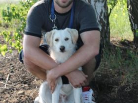 Hundetraining Adrian Linack