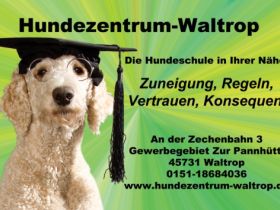 Hundezentrum-Waltrop