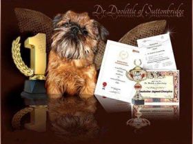 Dr. Doolittle of Suttonbridge