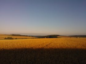 Kleinhundepension "wie zu Hause"