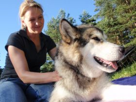 Tierphysiotherapie Bell - O - Fit