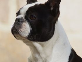 von der Martinshöhe