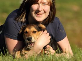 mobile Tierheilpraxis Hund Katze Pferd