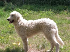 Osteopathie & Kinesiologie / Michaela Gemüth