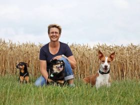 Hundeschule Podenco & Co.  Nadja Kämper