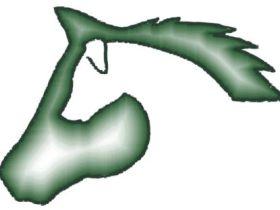 PH-Natural, natürlich mit Pferd und Hund