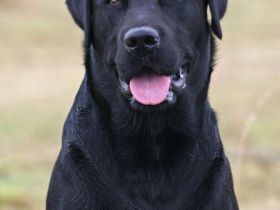 BUTKUS-Casper vom Kannenbäckerland