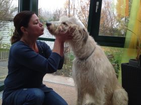 Hundeschule Marion Horn