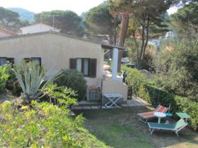 Appartamenti Laura - Bougainvillea auf Elba