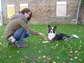 Tierisch-Vergnügt-Haustierservice