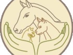 Tierheilpraxis Neubert